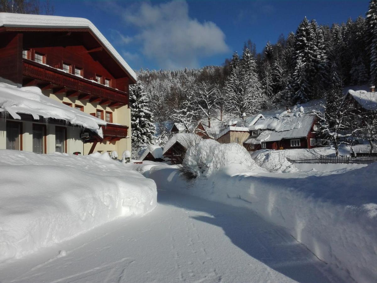 Rodinny "Hotel U Mustku" Desná Exteriör bild